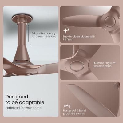 Orient Electric Newly Launched Aeroquiet Neu 1230mm Ceiling Fan for Home | Rust-proof ABS blade |2 Years Warranty by Orient | Tangerine Brown, Pack of 1