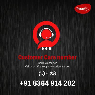 Pigeon by Stovekraft Aster 3 Burner Gas Stove with High Powered Brass Burner Gas Cooktop, Cooktop with Glass Top and Powder Coated Body, Black, Manual Ignition, Standard (14267)